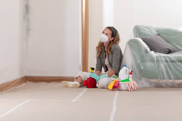 Reliable Basement Mold Removal contractor in Monrovia, MD by WQB Mold Removal